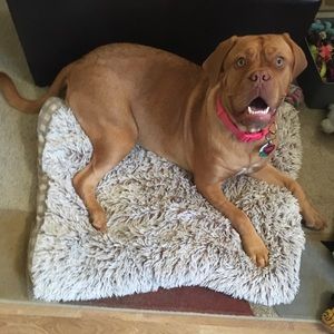 Meet your Posher, Tyler